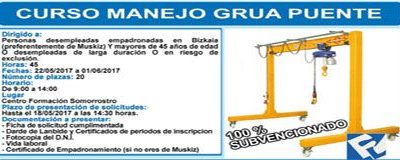 Curso «Curso manejo Grúa Puente (45 Horas)»